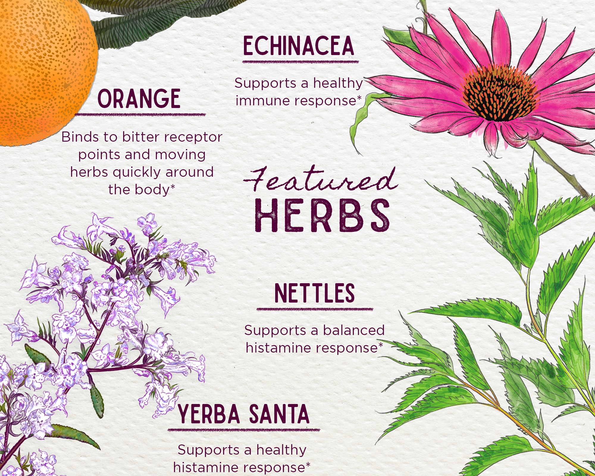 Kick-Ass Allergy, Seasonal Rescue features botanical drawings of orange, echinacea, nettles, and yerba santa—herbs known for natural allergy relief—plus an orange slice on a textured background.