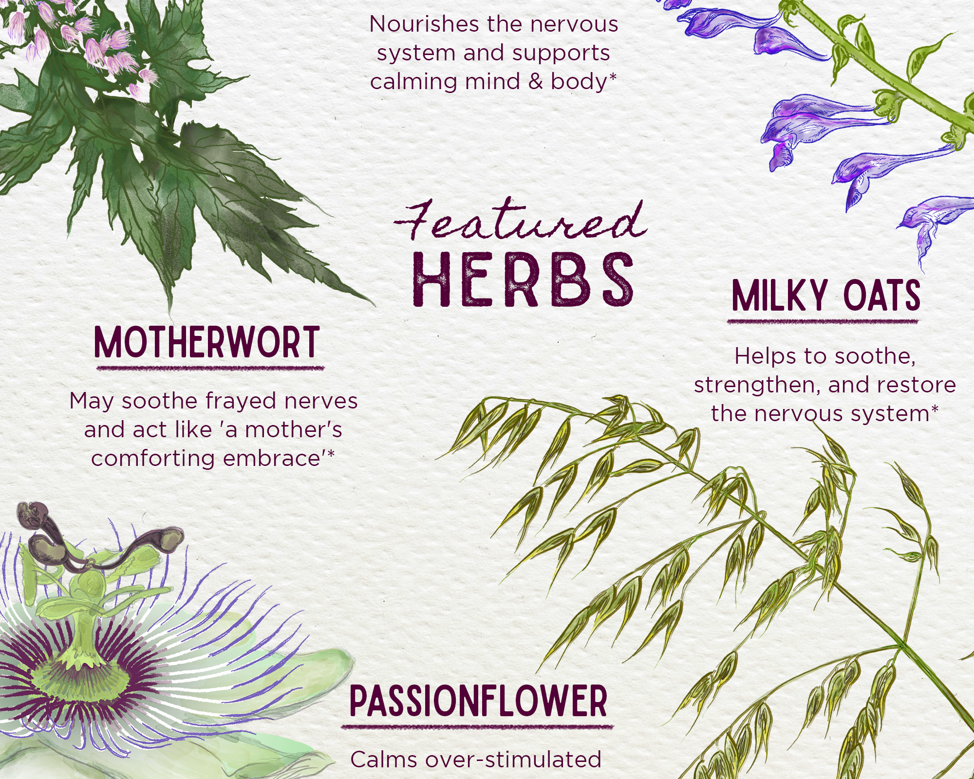 The "Emotional Ally: A Big Herbal Hug" chart showcases four calming herbs—scullcap, milky oats, motherwort, and passionflower—with illustrations and notes on their gentle mood support and soothing benefits for stress relief.