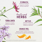 Watercolor-style illustration of echinacea, yerba santa, nettles, and orange peel showcases the allergy and sinus support benefits of Kick-Ass Allergy & Sinus, Soother for non-drowsy sinus relief.