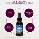 A brown glass bottle labeled Daily Immune Builder sits on a light background with leaf designs. Four text bubbles highlight daily immune support, healthy system response, nourishing elderberry herbs, and gluten-free/vegan/non-GMO.