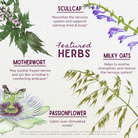 The "Emotional Ally: A Big Herbal Hug" chart showcases four calming herbs—scullcap, milky oats, motherwort, and passionflower—with illustrations and notes on their gentle mood support and soothing benefits for stress relief.