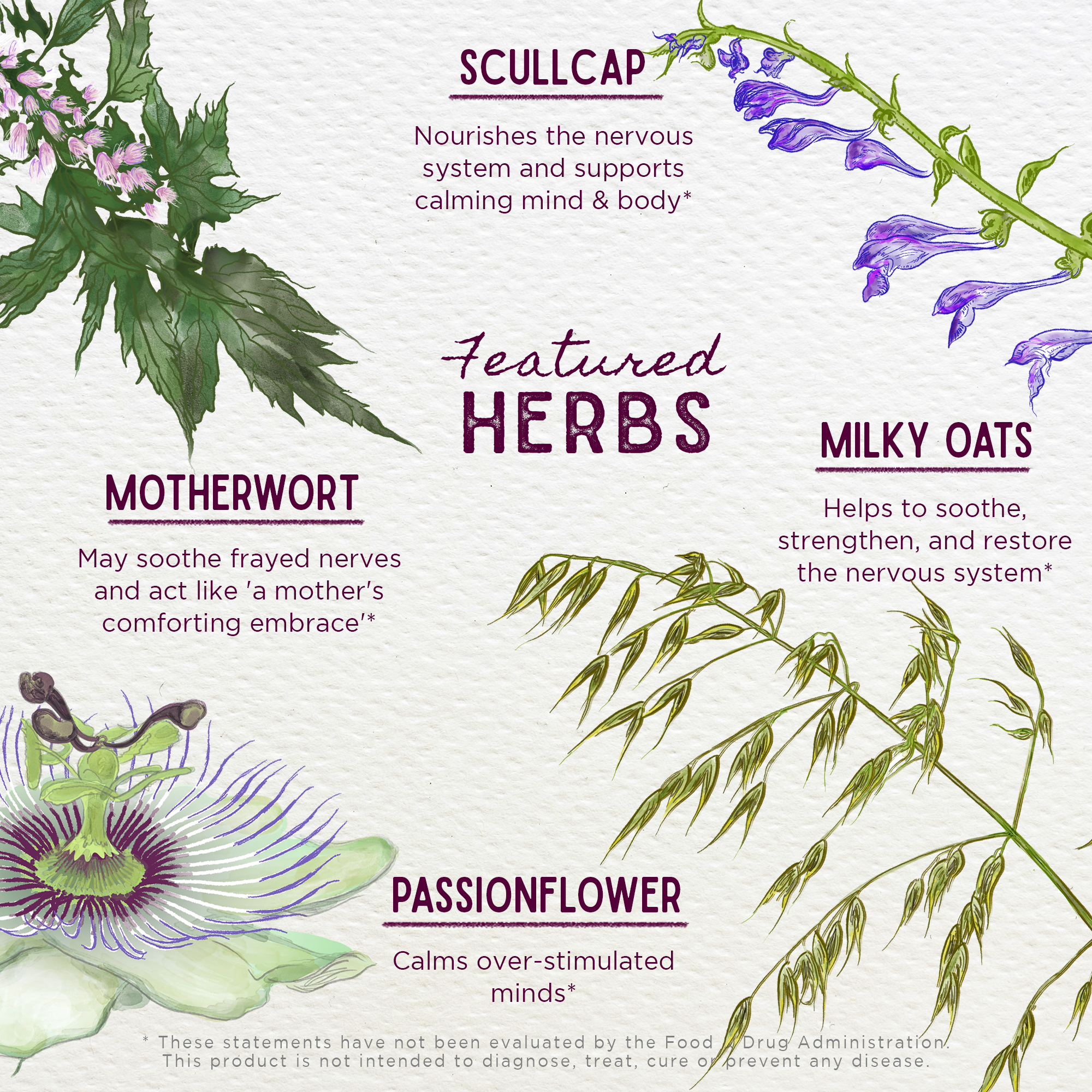 The "Emotional Ally: A Big Herbal Hug" chart showcases four calming herbs—scullcap, milky oats, motherwort, and passionflower—with illustrations and notes on their gentle mood support and soothing benefits for stress relief.