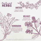 Kick-Ass Sinus, Move & Soothe features illustrated herbs for respiratory health: Baptista (supports healthy lymphatic function), Red Root (stimulates the lymphatic system), and Horseradish (aids sinuses, relieves congestion).